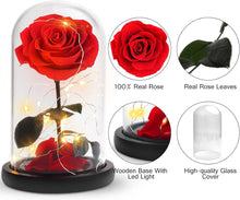Load image into Gallery viewer, Best for Mom Preserved Real Rose, Eternal Rose in Glass Dome Gifts for Women Mother&#39;S Day Christmas Valentine&#39;S Day Birthday (Red, Large)
