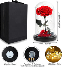 Load image into Gallery viewer, Best for Mom Preserved Real Rose, Eternal Rose in Glass Dome Gifts for Women Mother&#39;S Day Christmas Valentine&#39;S Day Birthday (Red, Large)